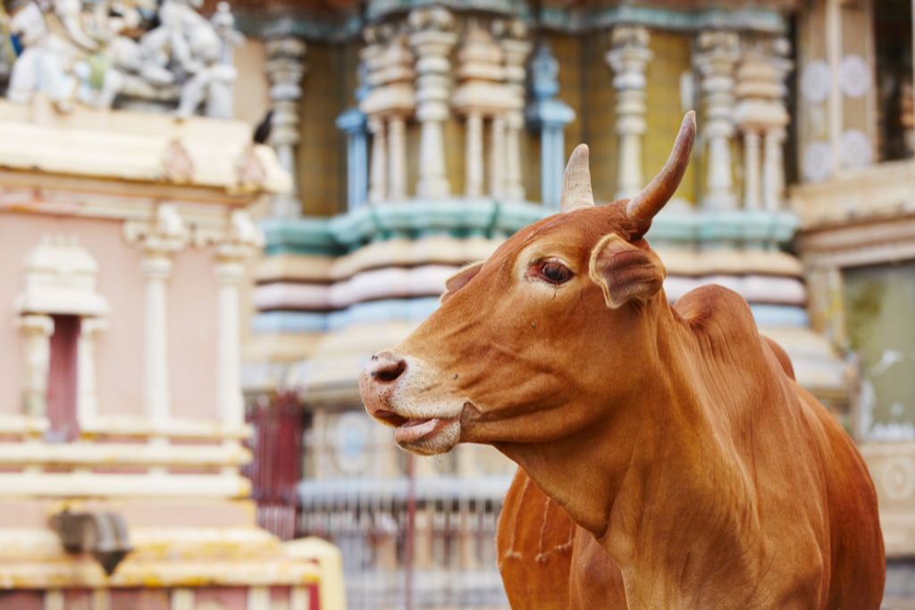 Les temples sacrés du Sri Lanka _ un voyage au cœur de l’histoire et de la spiritualité